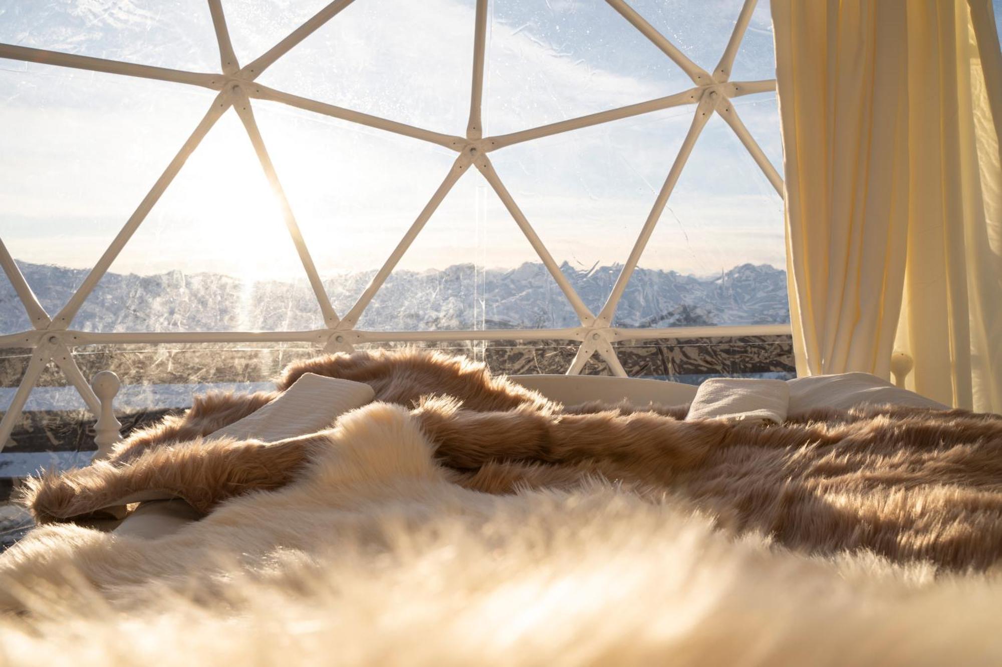 Berghotel Pischa Mountain Lodge 达沃斯 外观 照片